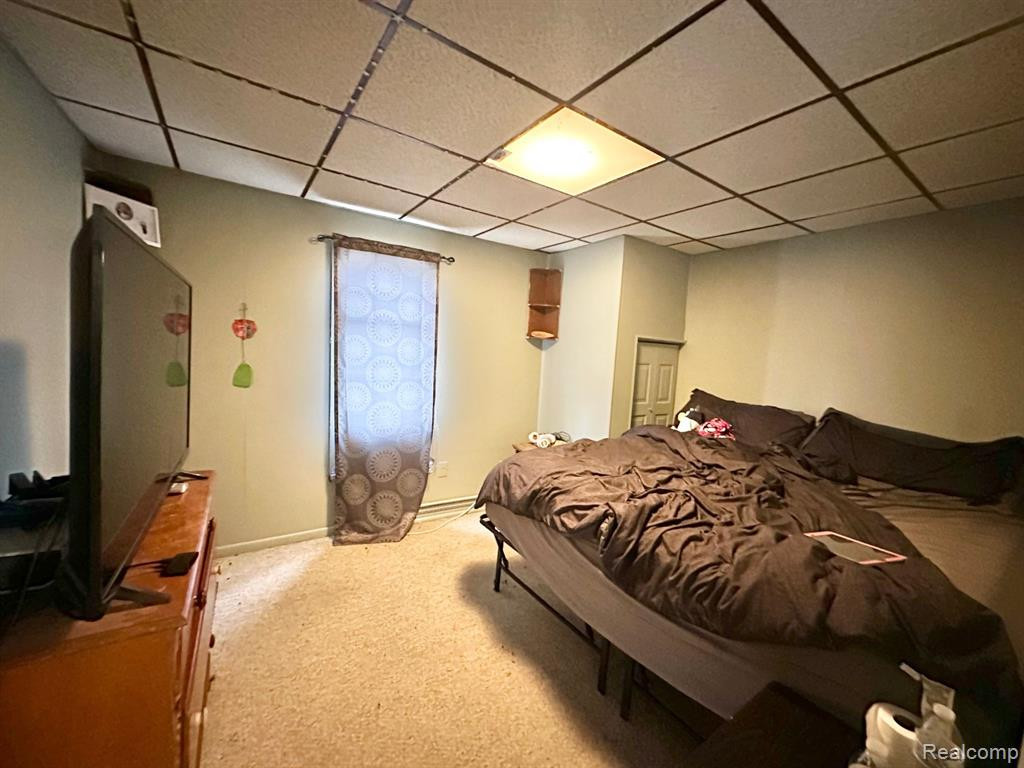 6129 2ND Street, Mayville Vlg, MI 48744 — Photo 23