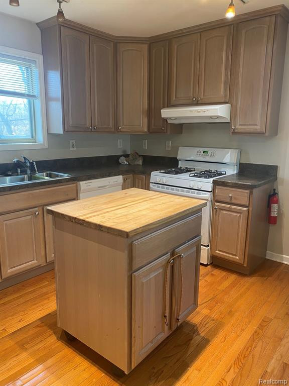 889 DOLLAR BAY Drive, Lake Orion, MI 48362 — Photo 3