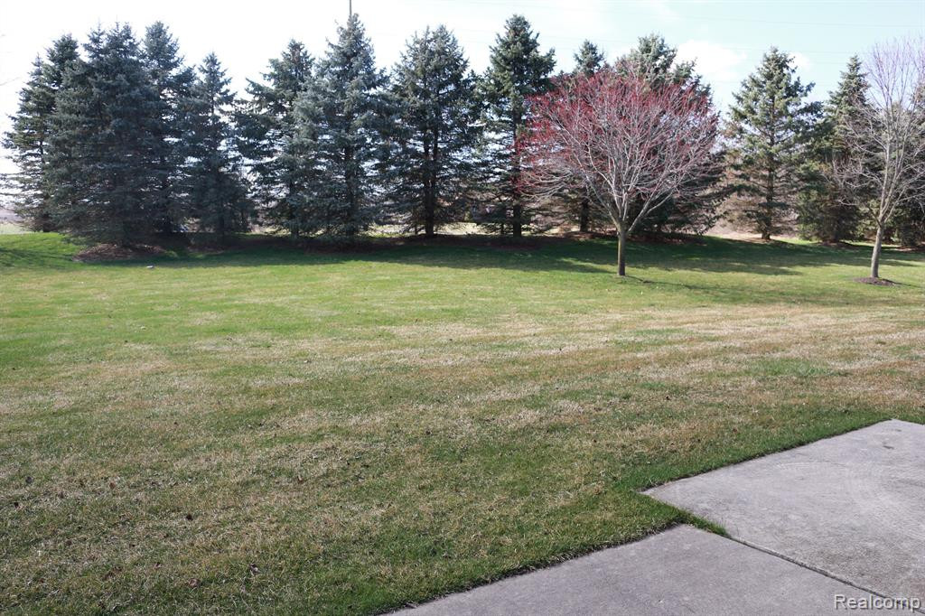 24340 SAND LAKE Lane, Flat Rock, MI 48134 — Photo 11