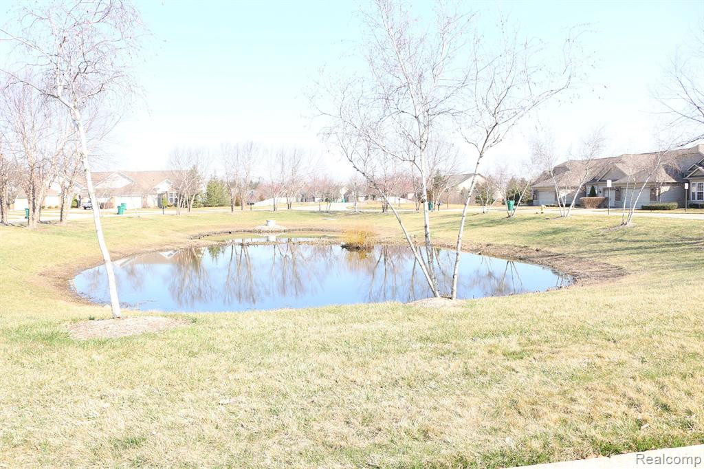 24340 SAND LAKE Lane, Flat Rock, MI 48134 — Photo 13