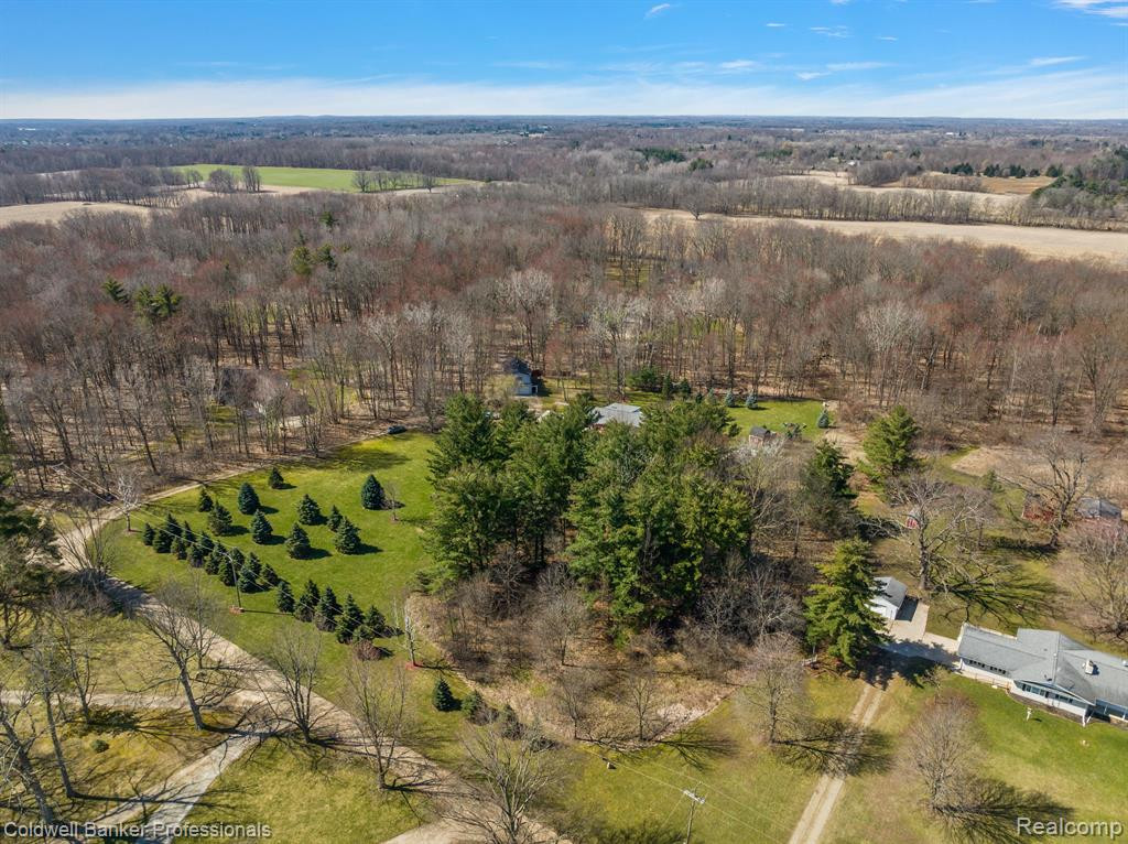 6595 ROGERS Drive, North Branch, MI 48461 — Photo 21