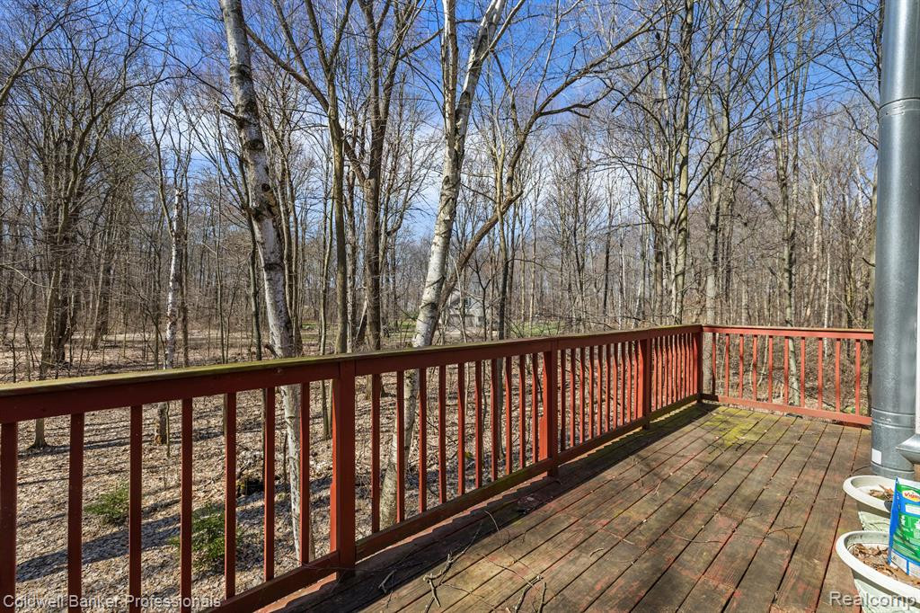 6595 ROGERS Drive, North Branch, MI 48461 — Photo 73