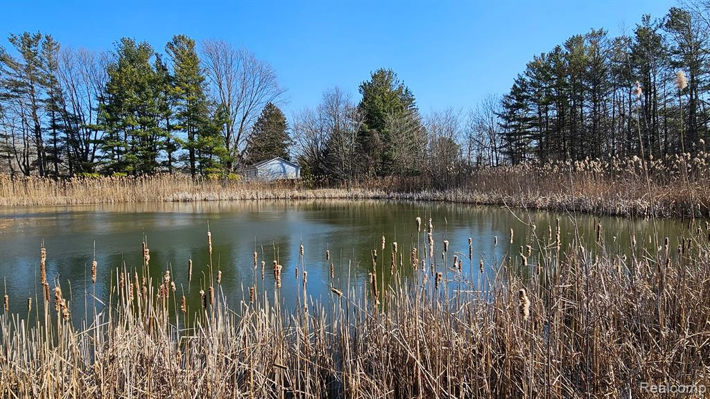 4336 W Lake Road, Clio, MI 48420 — Photo 4