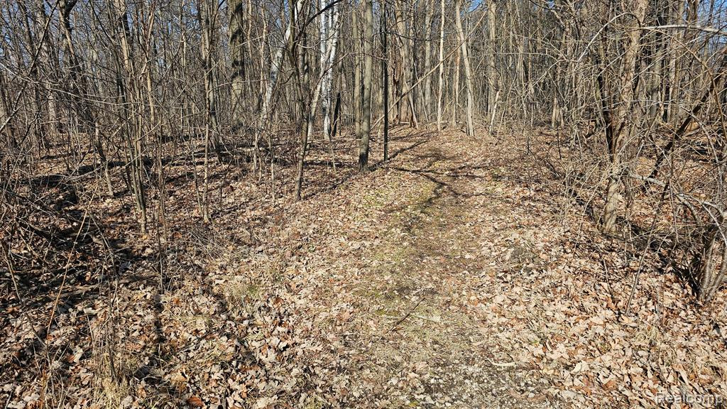 4336 W Lake Road, Clio, MI 48420 — Photo 5