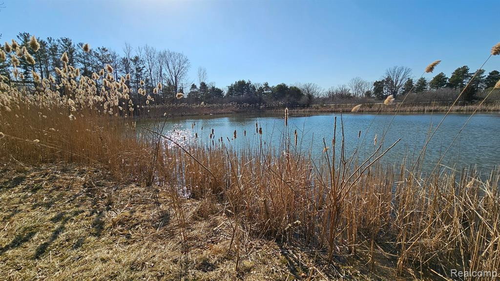 4336 W Lake Road, Clio, MI 48420 — Photo 41