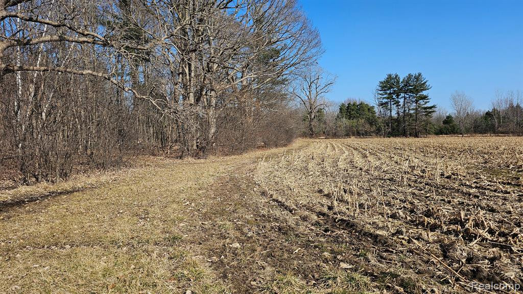 4336 W Lake Road, Clio, MI 48420 — Photo 43