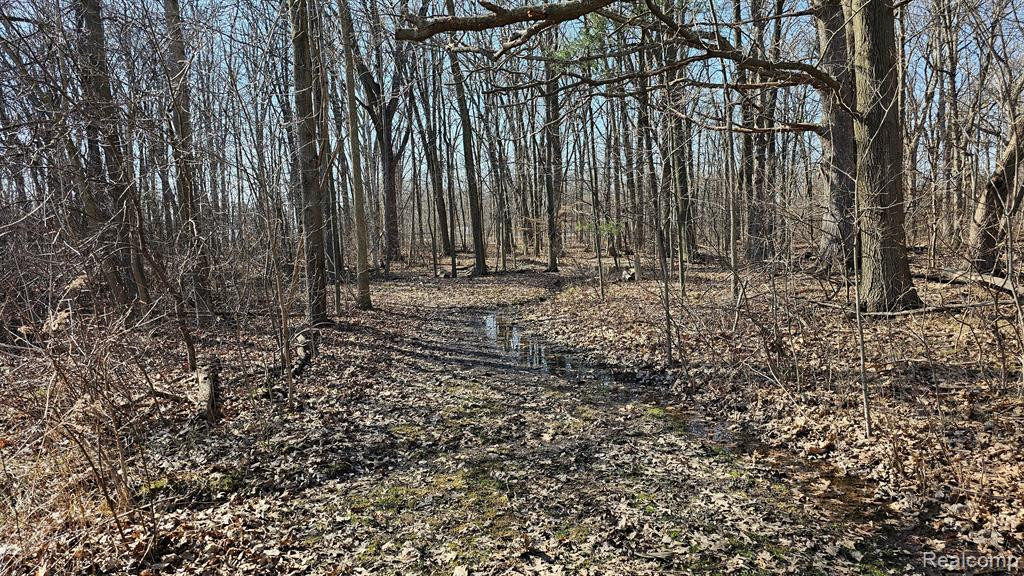 4336 W Lake Road, Clio, MI 48420 — Photo 46