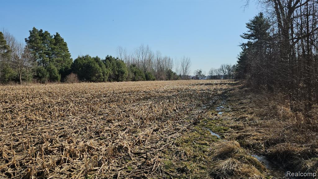 4336 W Lake Road, Clio, MI 48420 — Photo 47
