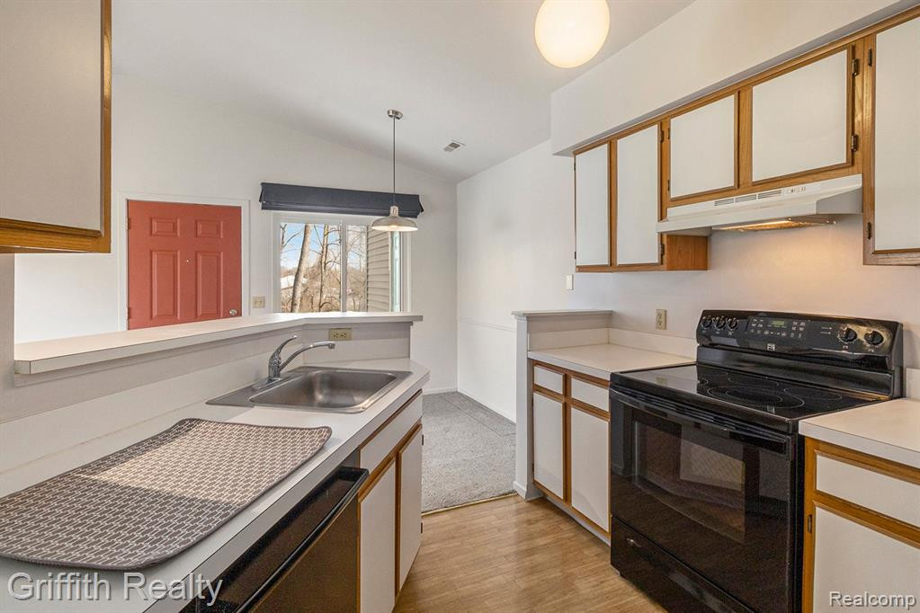 406 SPRING BROOKE Drive, Brighton, MI 48116 — Photo 13