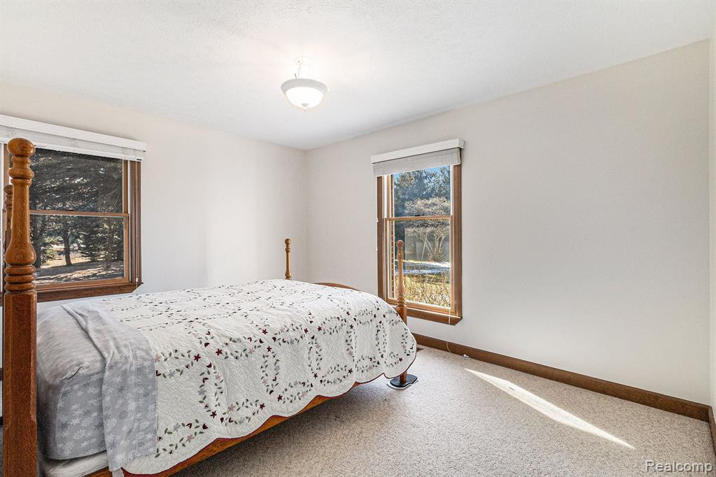 7650 OWOSSO Road, Fowlerville, MI 48836 — Photo 29