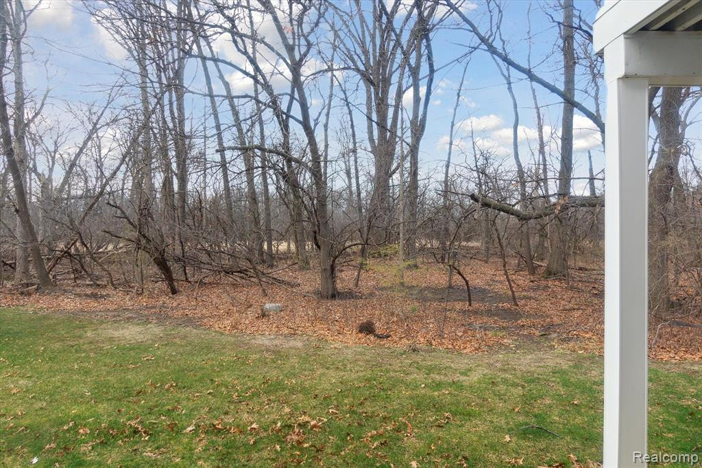 566 FIELDSTONE Circle N, Chelsea, MI 48118 — Photo 18