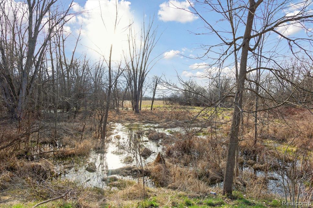 566 FIELDSTONE Circle N, Chelsea, MI 48118 — Photo 42