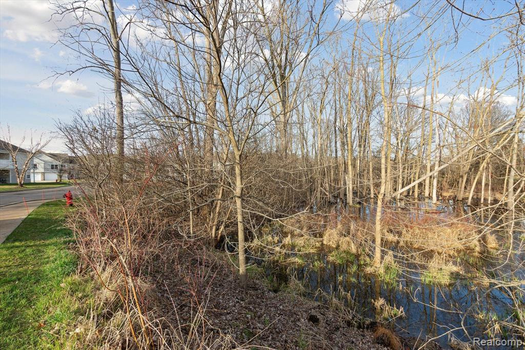566 FIELDSTONE Circle N, Chelsea, MI 48118 — Photo 44