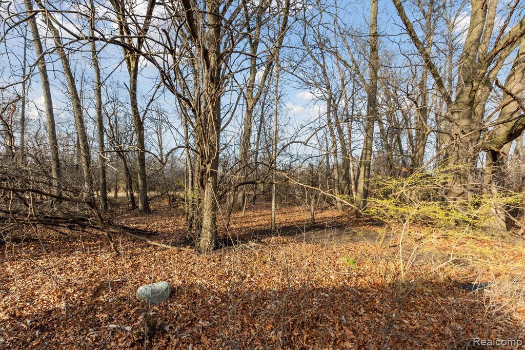 566 FIELDSTONE Circle N, Chelsea, MI 48118 — Photo 45