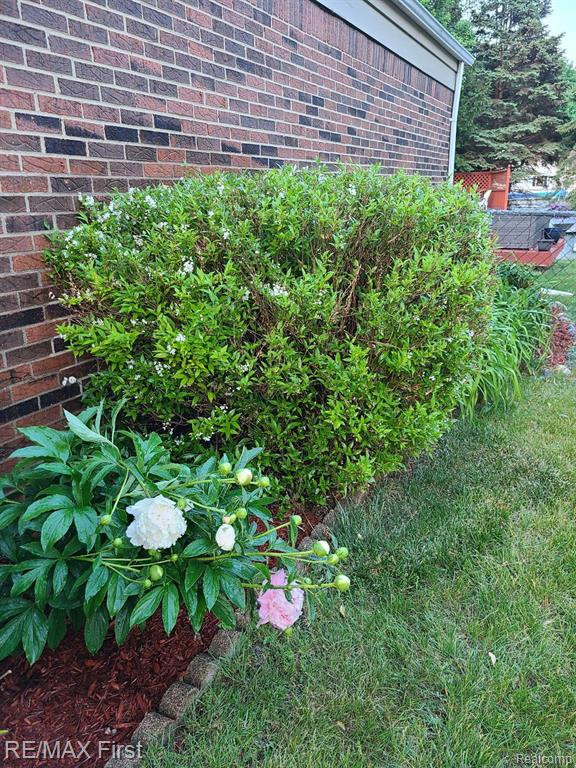 39692 RAGER, Clinton Twp, MI 48038 — Photo 8