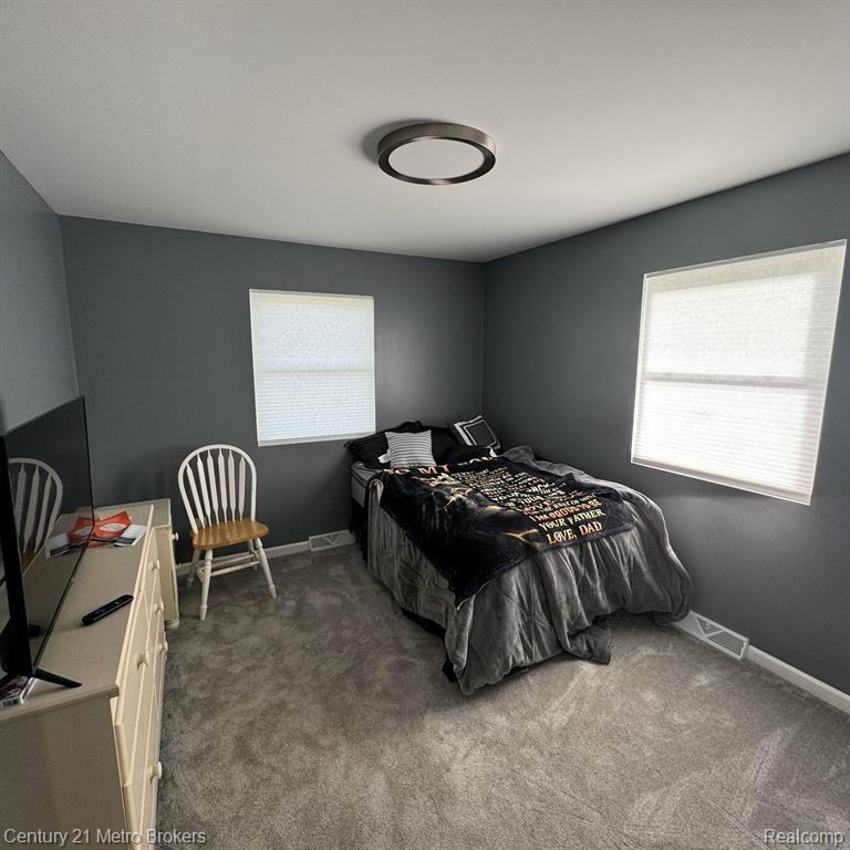 235 W MAIN Street, Mayville Vlg, MI 48744 — Photo 10