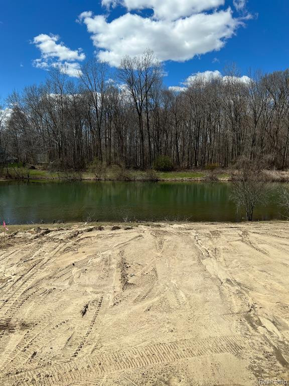 13676 CHESTER Court, Belleville, MI 48111 — Photo 12