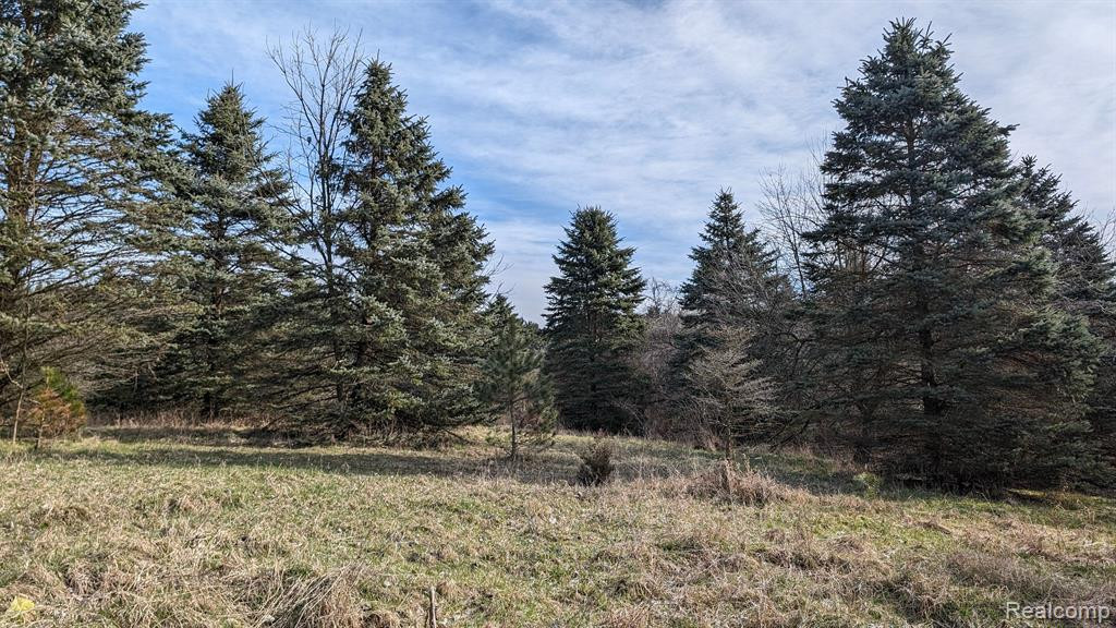 6872 HURDS CORNER Road, Mayville Vlg, MI 48744 — Photo 25