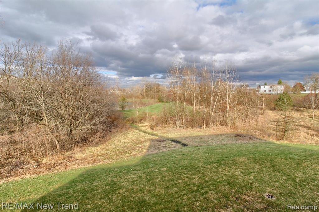 823 LAKE WOODS Drive, Canton, MI 48188 — Photo 38