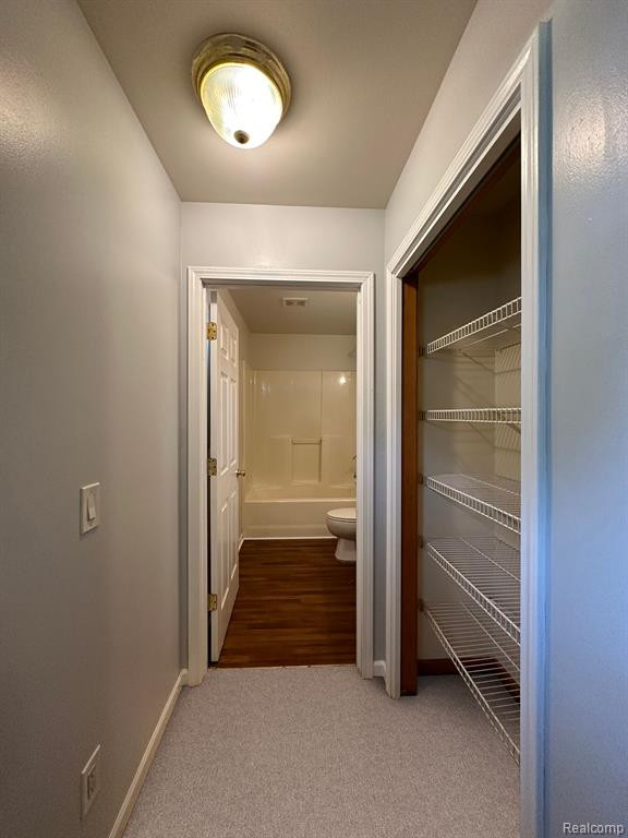 42 E MONTANA Street, Highland Park, MI 48203 — Photo 14