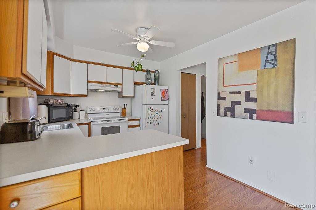 24244 BASHIAN Drive, Novi, MI — Photo 12