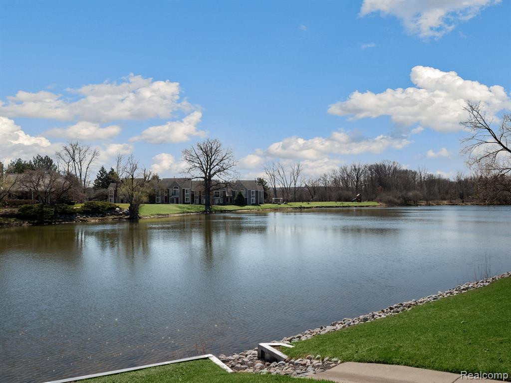 40054 CROSSWINDS, Novi, MI — Photo 47