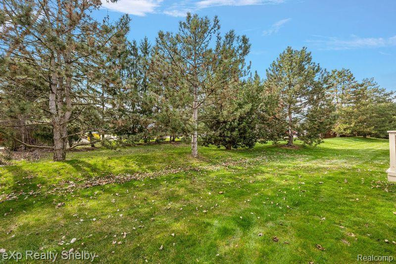 45853 KARAM Drive, Shelby Twp, MI 48315 — Photo 34