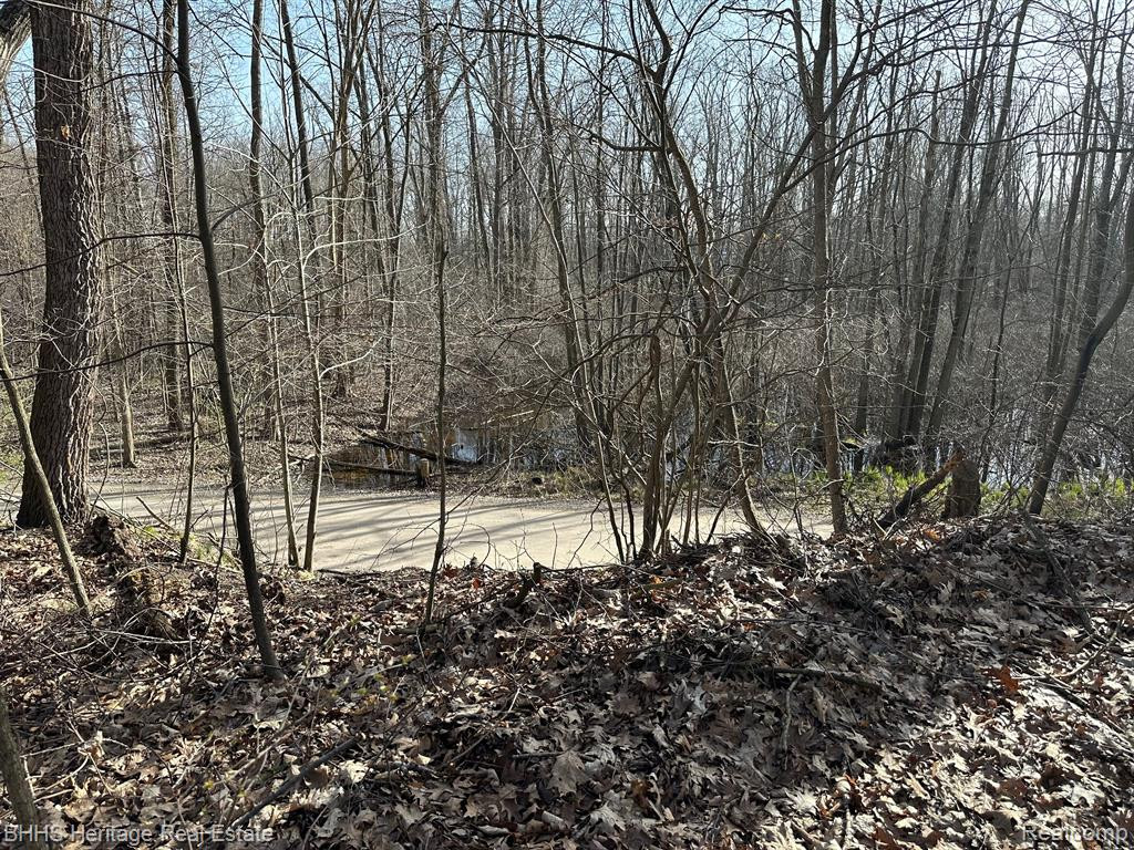 5625 FERNLANDS, Pinckney, MI 48169 — Photo 7