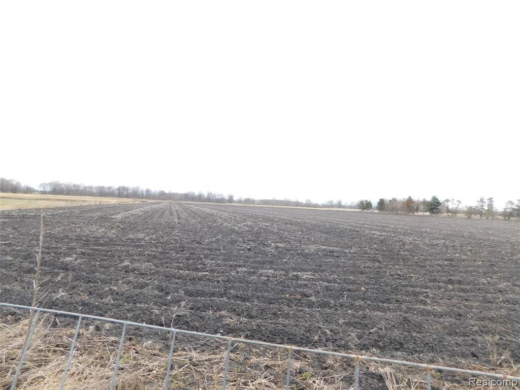 8753 HOLLOW CORNERS Road, Almont, MI 48003 — Photo 59