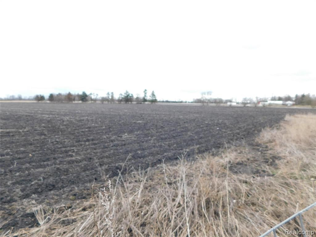 8753 HOLLOW CORNERS Road, Almont, MI 48003 — Photo 60