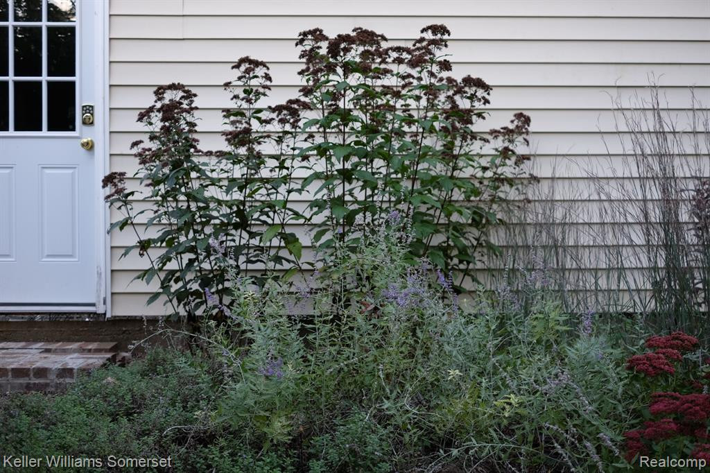 397 W Lewiston Avenue, Ferndale, MI 48220 — Photo 42