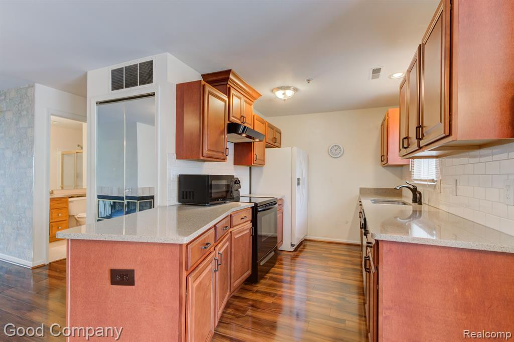 1719 CAMPAU FARMS Circle, 38, Detroit, MI 48207 — Photo 11