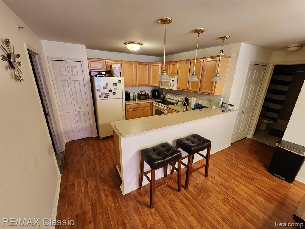 22105 ALEXA Drive, Walled Lake, MI 48390 — Photo 3