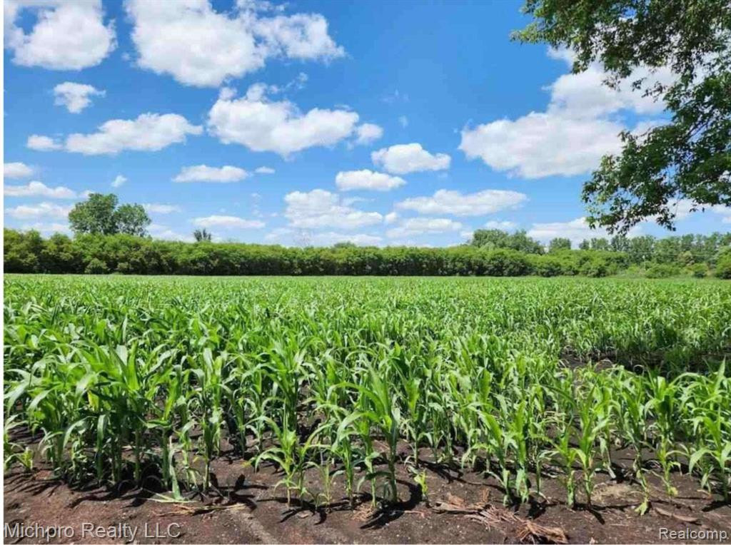 V/L Churchill, Imlay City, MI 48444 — front exterior