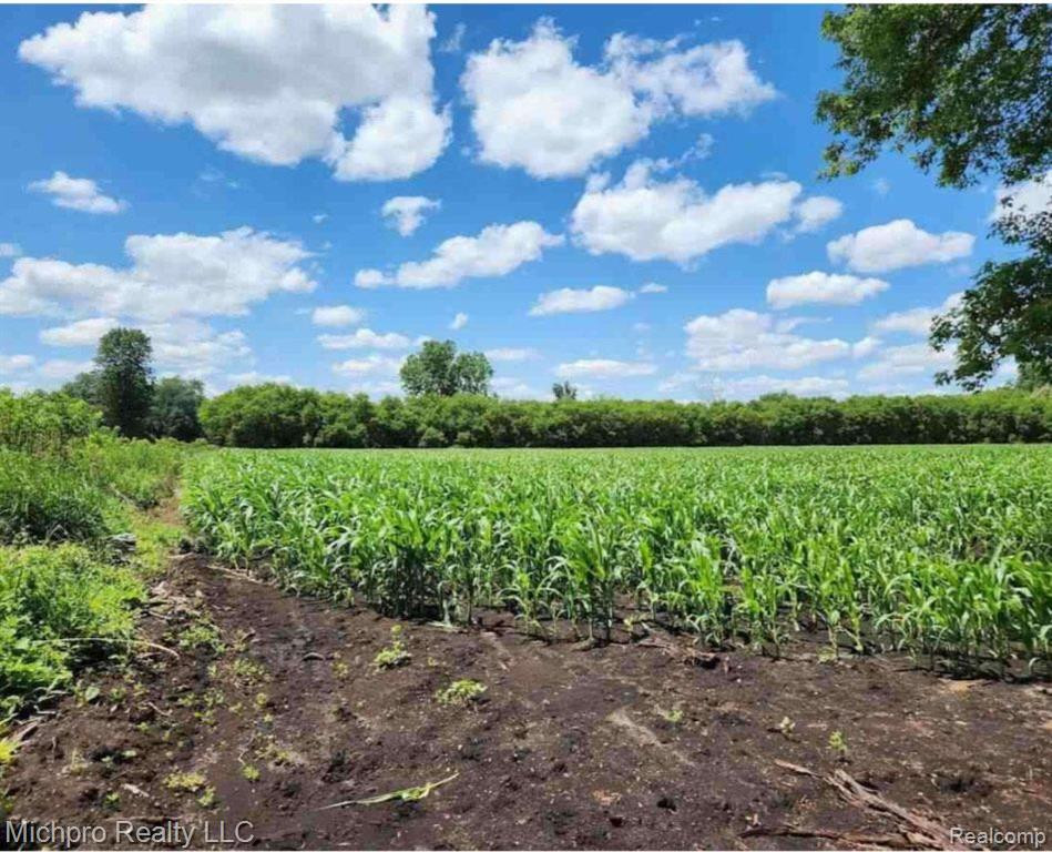 V/L Churchill, Imlay City, MI 48444 — Photo 2