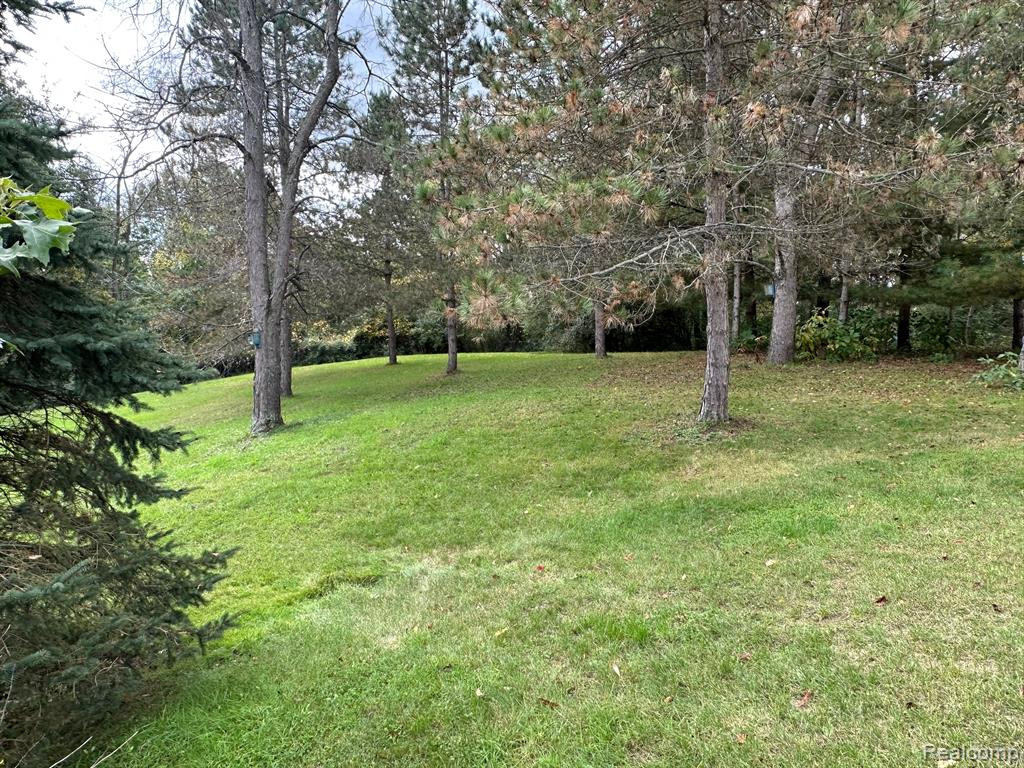 5070 COHOCTAH Road, Linden, MI 48451 — Photo 9
