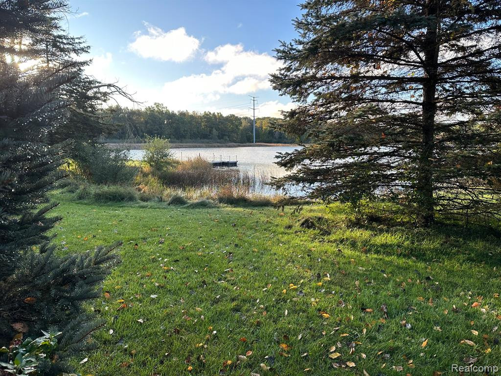 5070 COHOCTAH Road, Linden, MI 48451 — Photo 11
