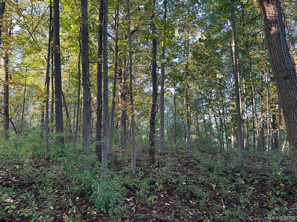5070 COHOCTAH Road, Linden, MI 48451 — Photo 28