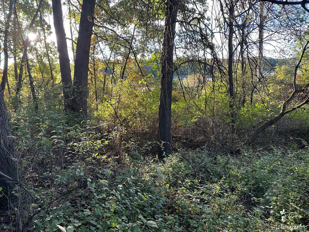 5070 COHOCTAH Road, Linden, MI 48451 — Photo 30
