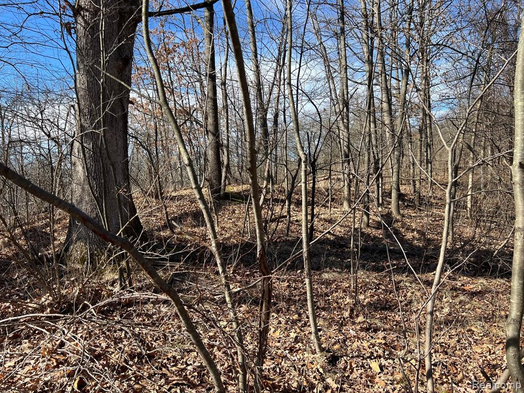 4097 HUNT Road, Lapeer, MI 48446 — Photo 7