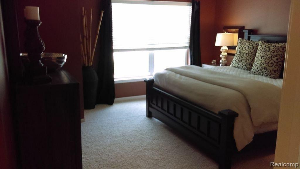 41641 TERA Lane, Novi, MI — Photo 12