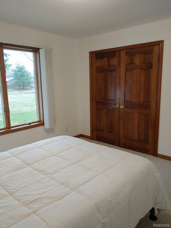 112 WOODLAWN Drive, St. Charles, MI 48655 — Photo 23
