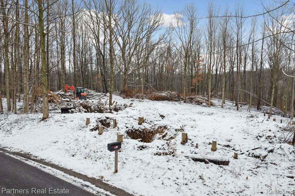 V/L Harper Road, Mason, MI 48854 — Photo 5
