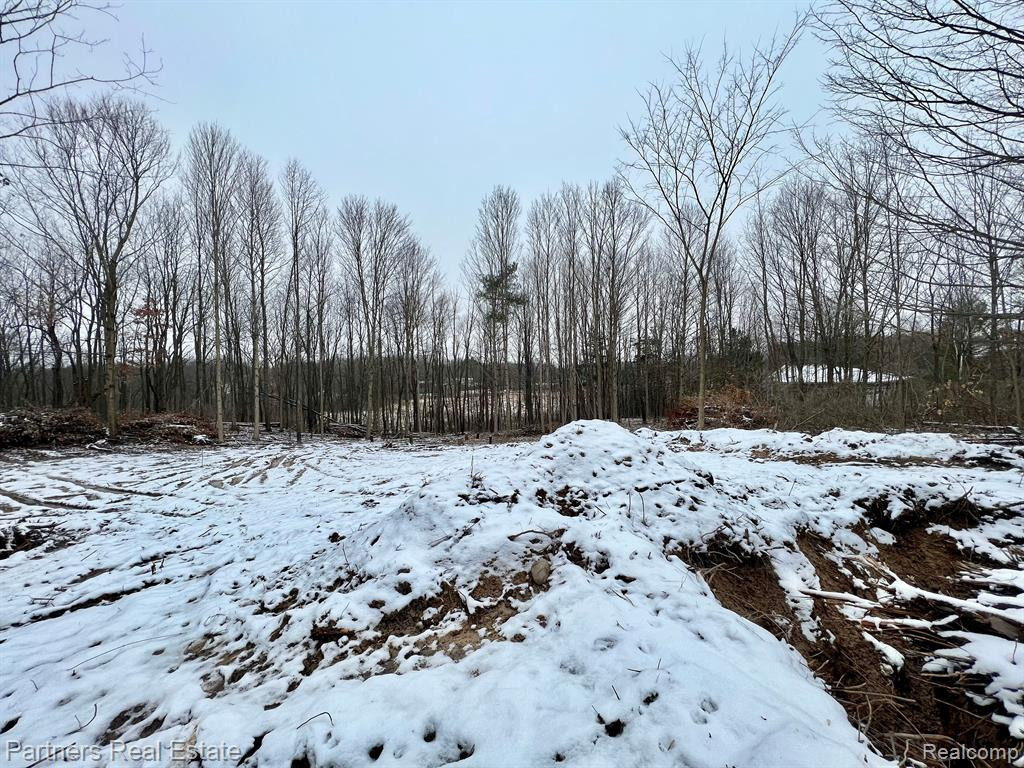 V/L Harper Road, Mason, MI 48854 — Photo 19