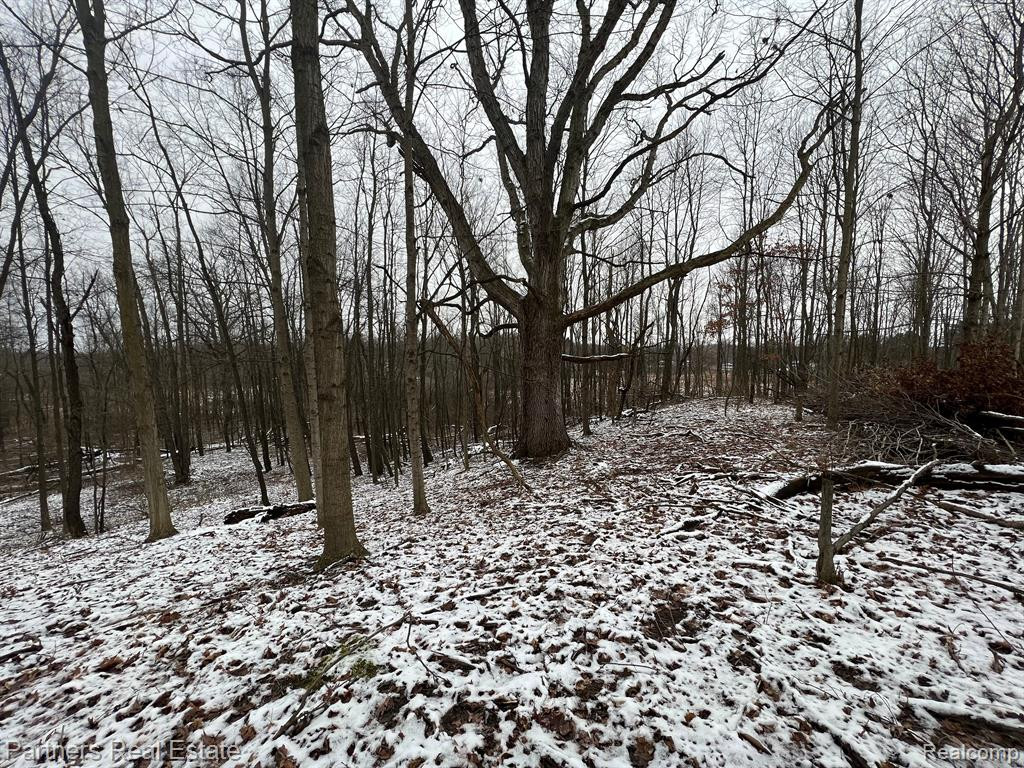 V/L Harper Road, Mason, MI 48854 — Photo 20