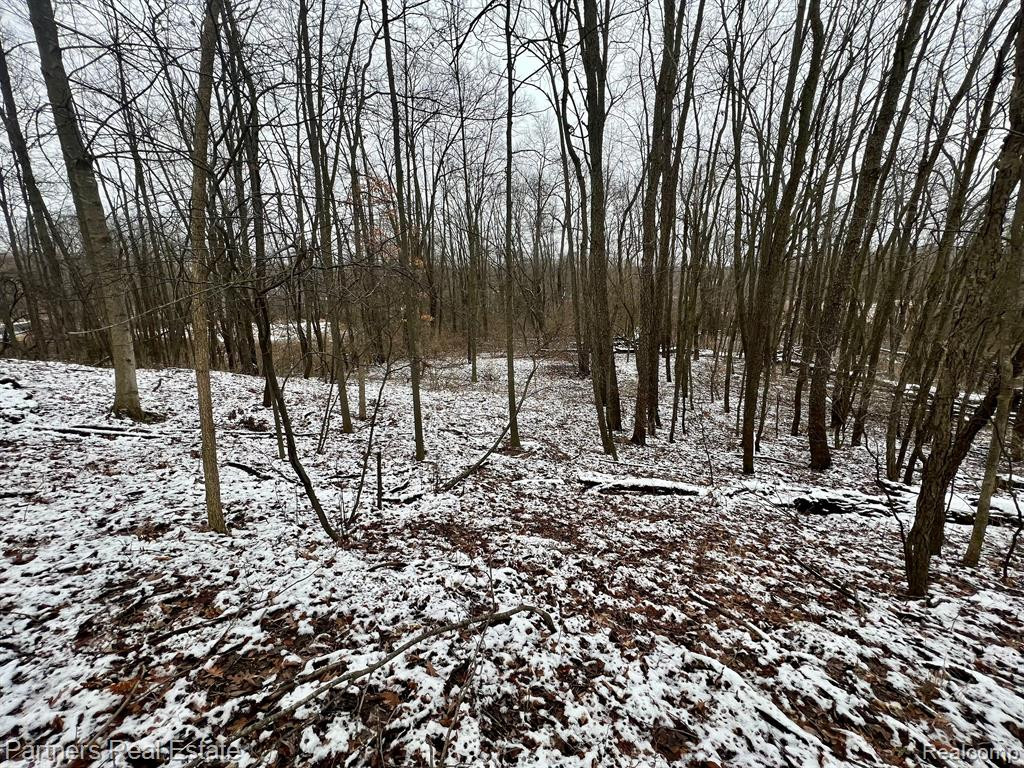 V/L Harper Road, Mason, MI 48854 — Photo 21