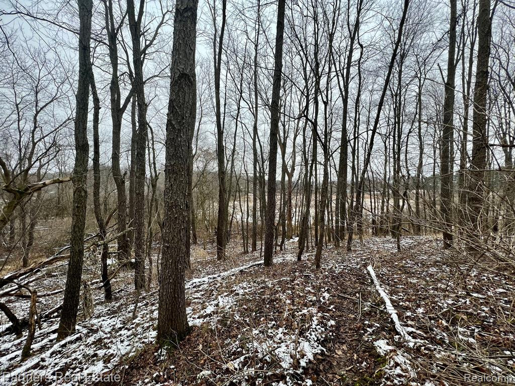 V/L Harper Road, Mason, MI 48854 — Photo 22