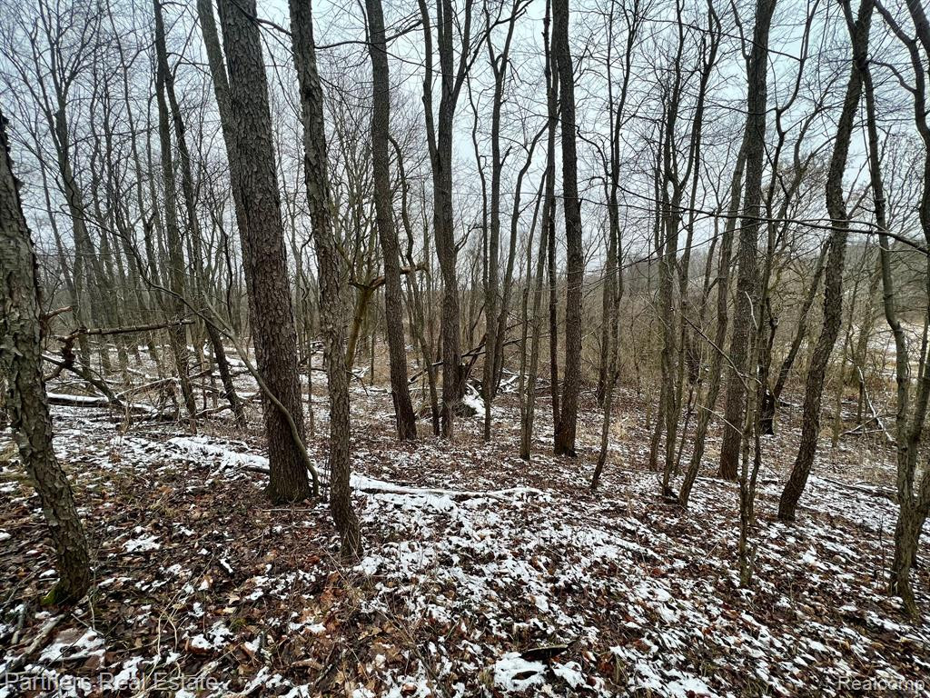 V/L Harper Road, Mason, MI 48854 — Photo 23