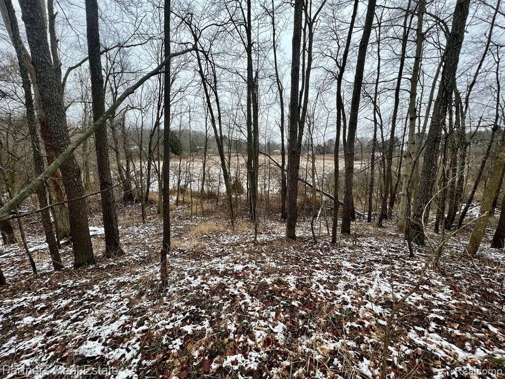 V/L Harper Road, Mason, MI 48854 — Photo 24