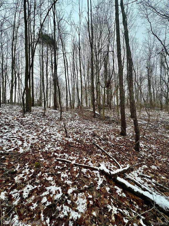 V/L Harper Road, Mason, MI 48854 — Photo 25
